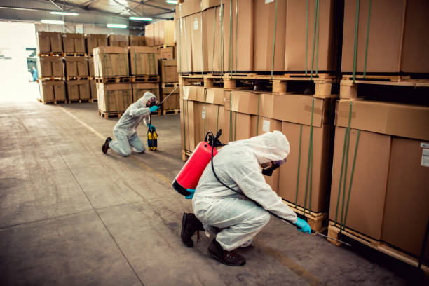 Best Commercial Pest Control Services  in Maltby, WA