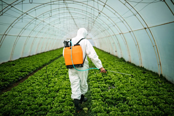 Best Pest Control Cost  in Maltby, WA