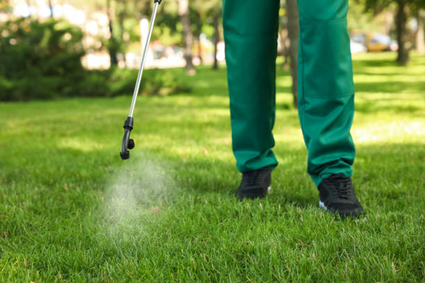 Best Flea Control Services  in Maltby, WA