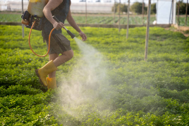 Best Emergency Pest Control  in Maltby, WA