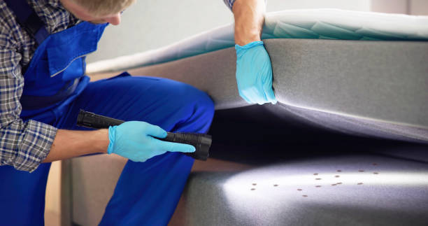 Best Bed Bug Extermination  in Maltby, WA