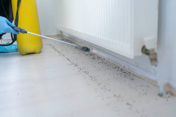 Pest Control Cost in Maltby, WA