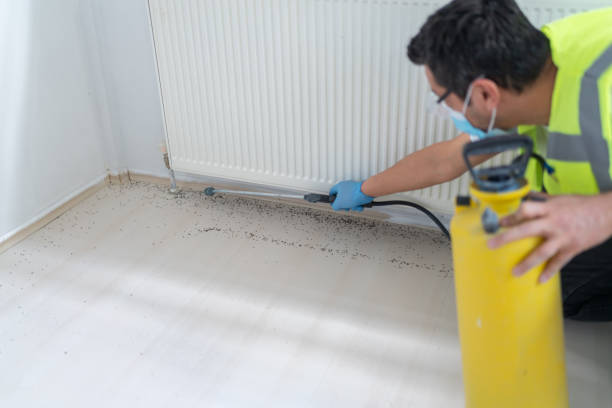 Best Residential Pest Control  in Maltby, WA
