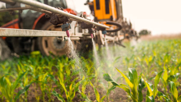 Best Pest Control for Homes  in Maltby, WA
